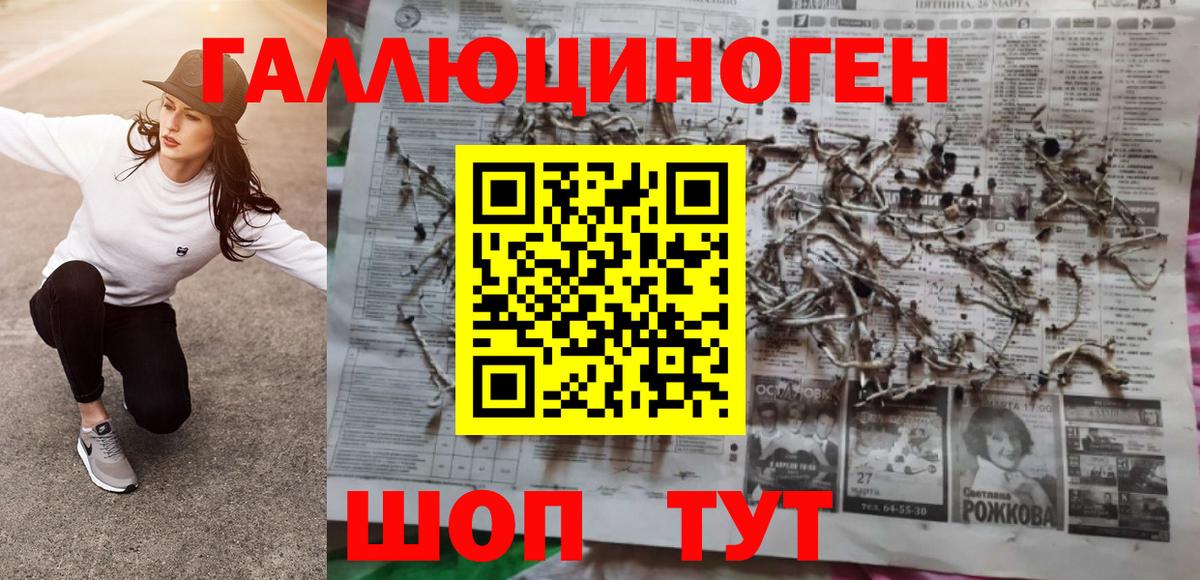 Псилоцибиновые грибы прущие грибы Комсомольск-на-Амуре